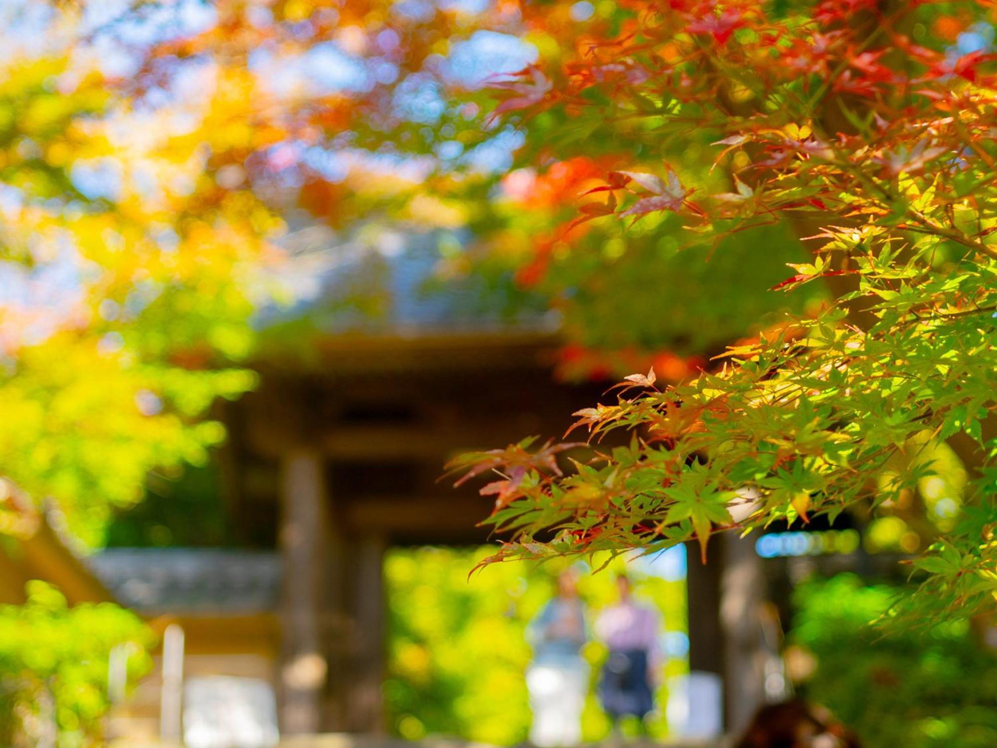 Kita-Kamakura 520 호텔 외부 사진
